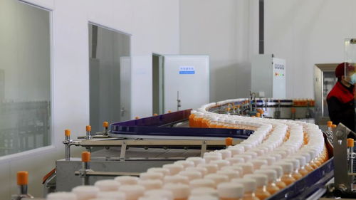 千企竞“质”，向“新”而行 小沙棘如何为乡村振兴注入强劲动能