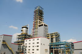 塑料厂成功开发双峰聚乙烯新产品，技术突破引领行业升级